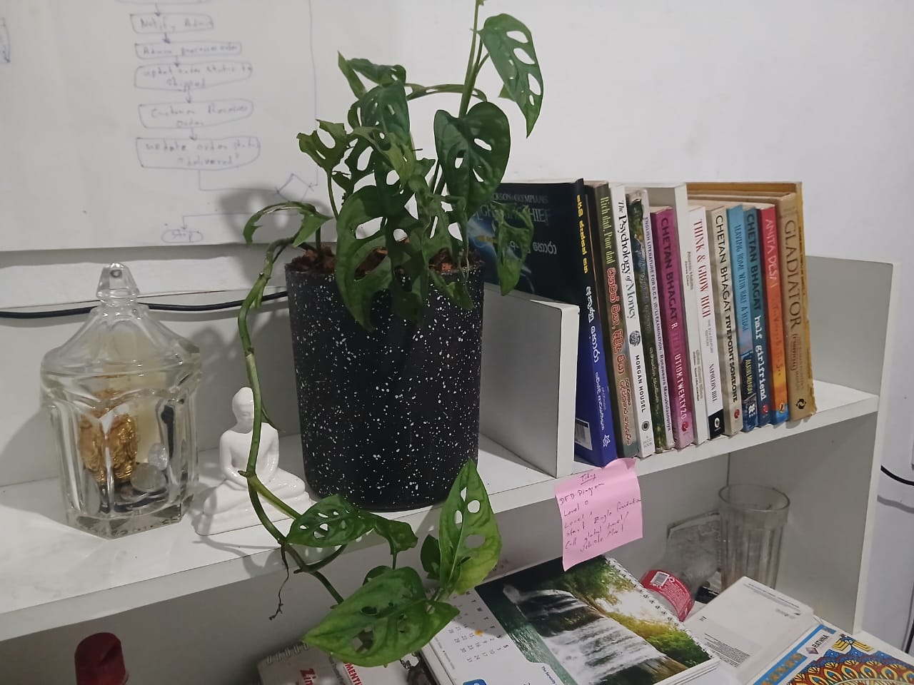 Sri Lankan indoor plant gallery