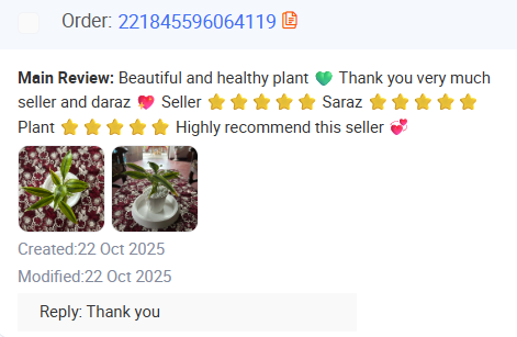 Plant parent home