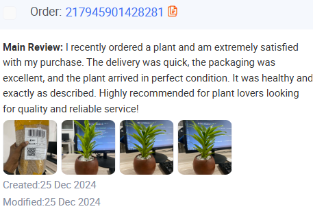 Plant parent joy